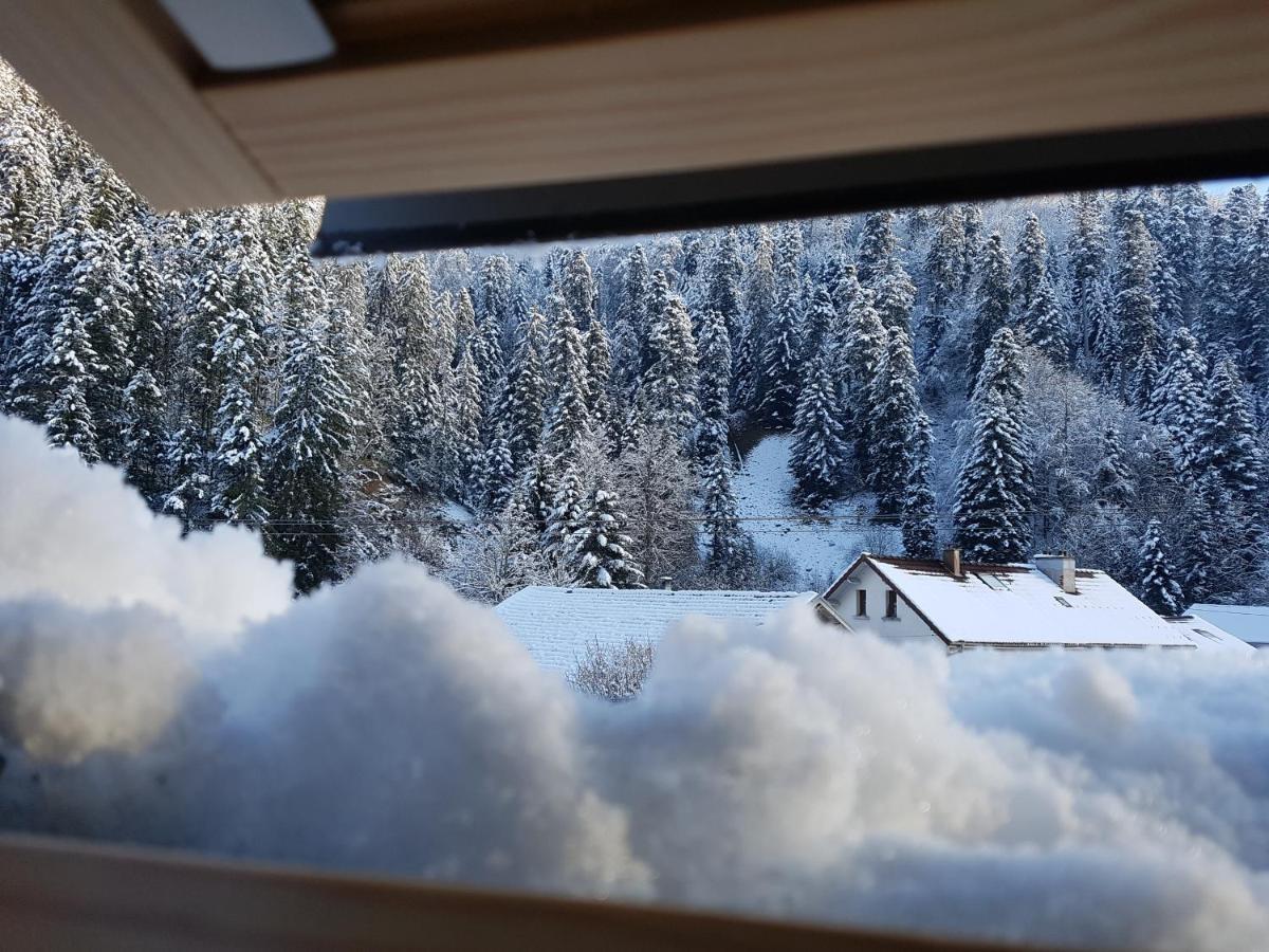 Le Petit Kichon Daire Gérardmer Dış mekan fotoğraf