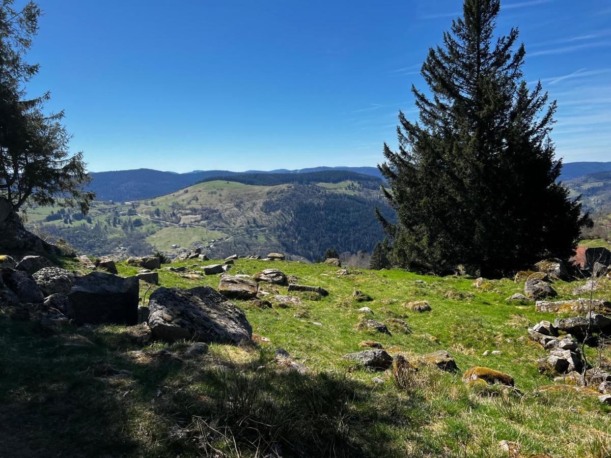 Le Petit Kichon Daire Gérardmer Dış mekan fotoğraf